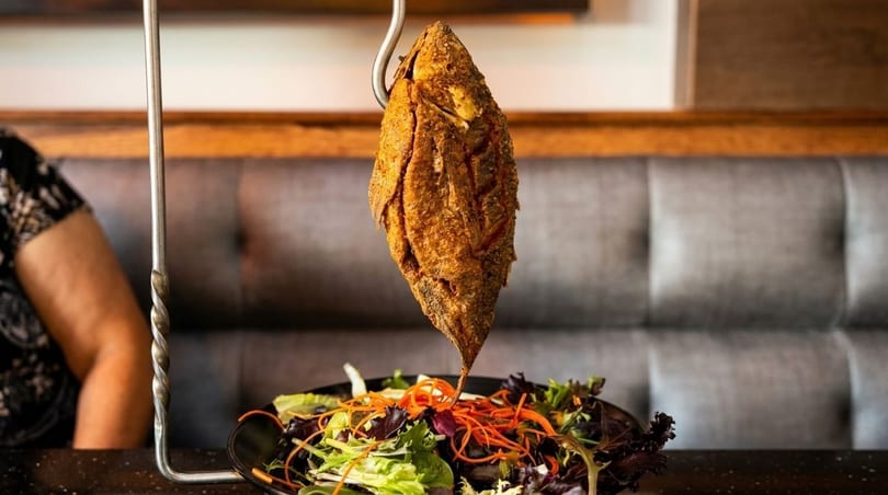Crispy whole fried fish hanging over a fresh green salad with shredded carrots at a restaurant.